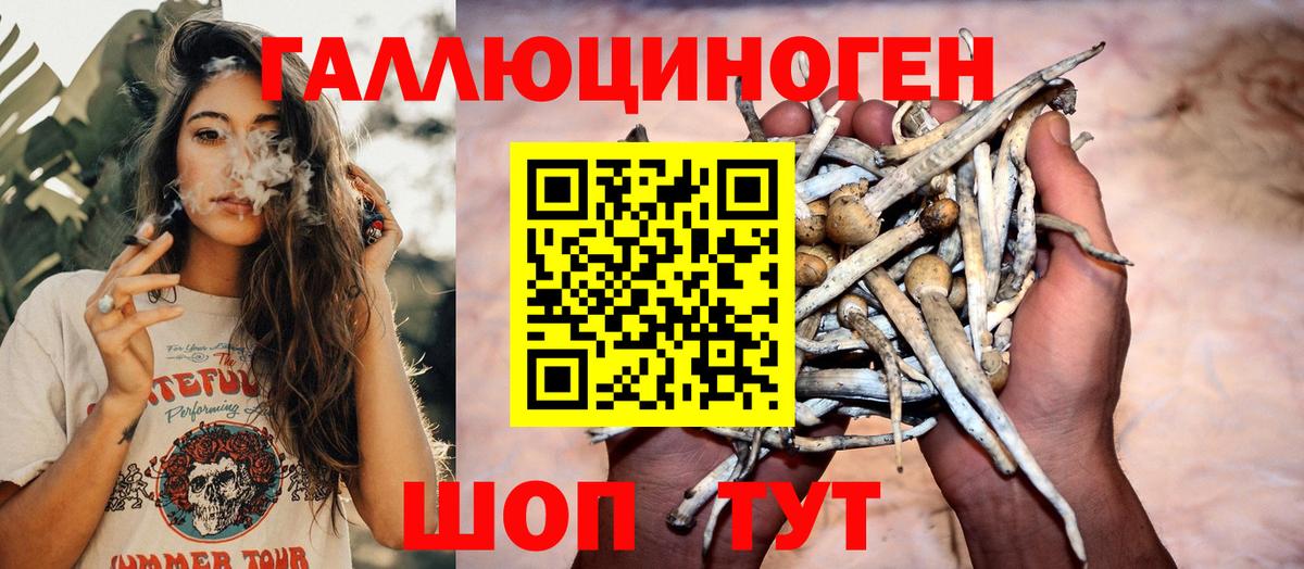 Ялта  Псилоцибиновые грибы GOLDEN TEACHER  Псилоцибиновые грибы Psilocybine cubensis  Вход с VPN 